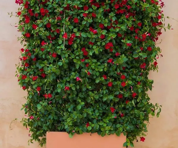 Bed & Breakfast Casina Bellanova 4*