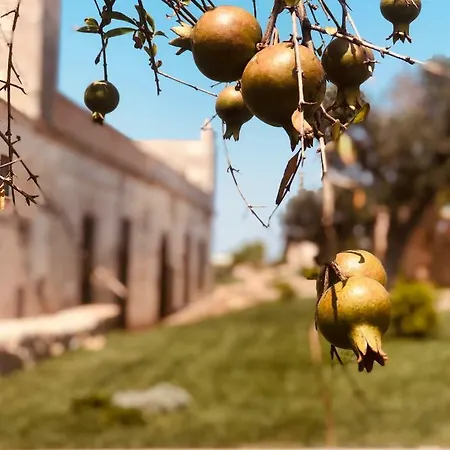 Casina Bellanova Bed & Breakfast 4*